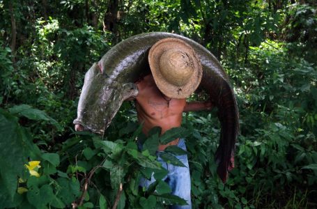 Walter Roman Ocaña Guerrero – Amazonas